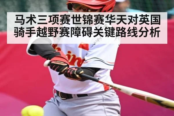 马术三项赛世锦赛华天对英国骑手越野赛障碍关键路线分析